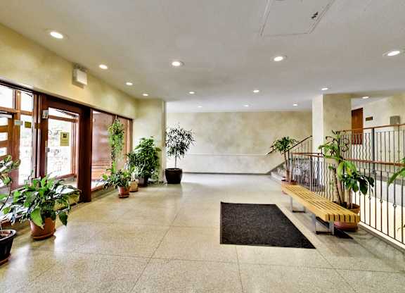 A hallway with a bench, potted plants, and a staircase.