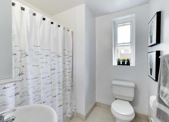 a bathroom with a shower curtain and a toilet and a sink