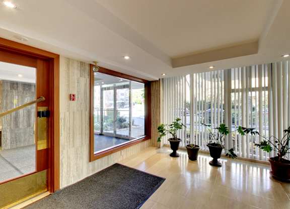 A hallway with a black rug and three potted plants.