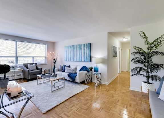 a living room with a white rug and a couch
