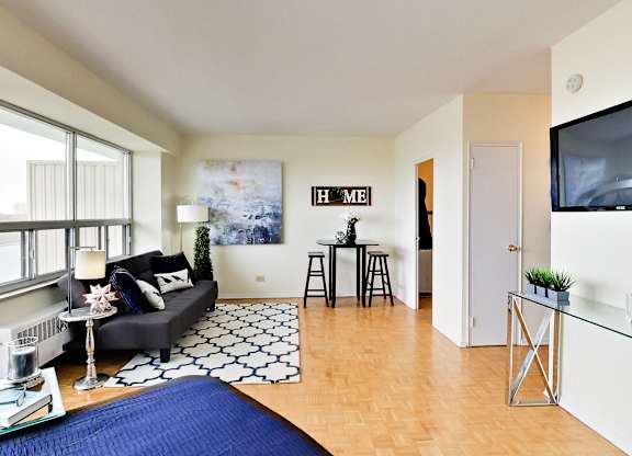 A living room with a blue rug and a grey couch.
