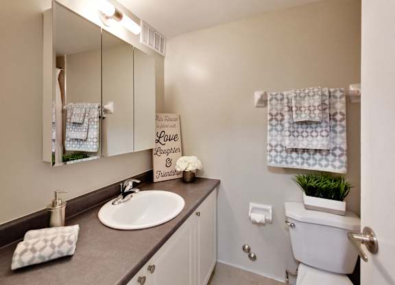 a bathroom with a sink and a mirror and a toilet