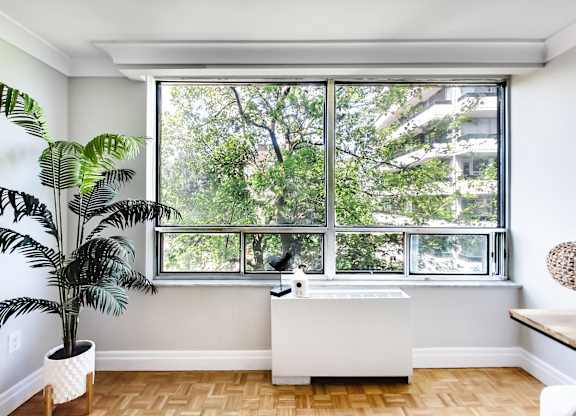 A bathroom with a large window and a plant.