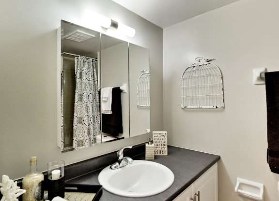 A bathroom with a sink, mirror, and a birdcage on the wall.