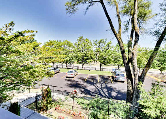 A parking lot with cars and trees.
