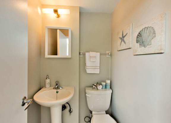 a bathroom with a sink and a toilet and a mirror