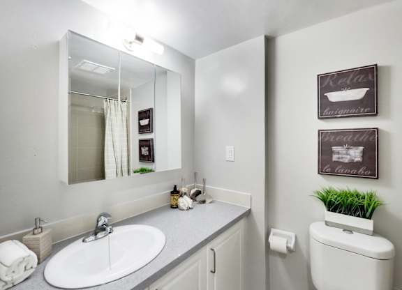 A bathroom with a white toilet and a sink with a mirror above it.