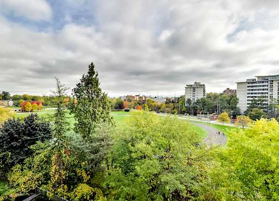 A view of a park with trees and buildings in the background.