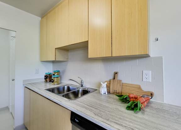 an empty kitchen with wooden cabinets and a sink