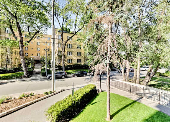 A tree in a grassy area in front of a building.