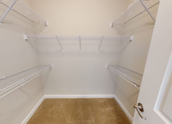 Walk-In Closet with multiple shelves