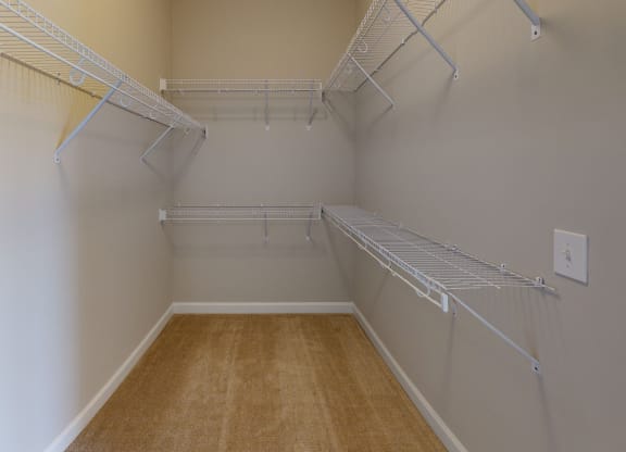 Walk-In Closet with multiple shelves