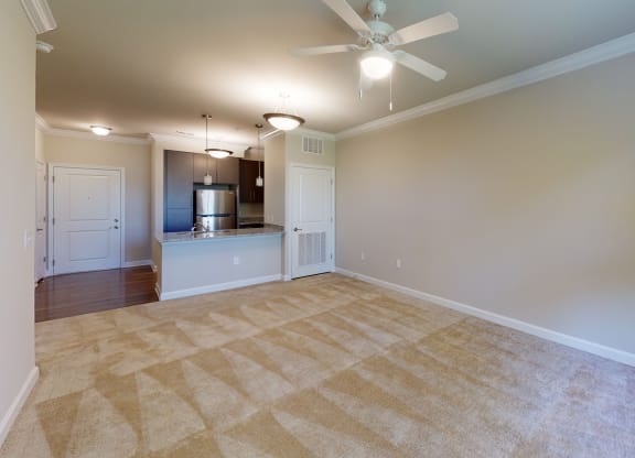 Living room with carpet; ceiling fan; open to ktichen