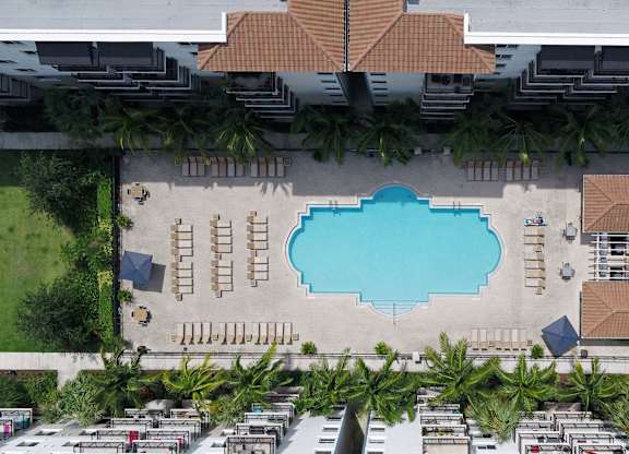An aerial view of a swimming pool surrounded by palm trees.