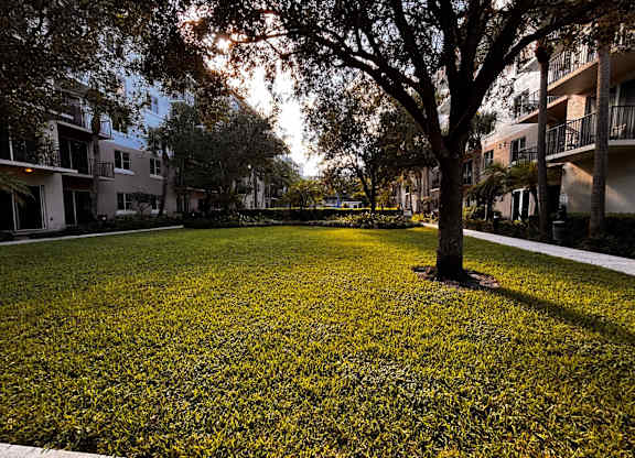A tree stands in a grassy area in front of apartment buildings.