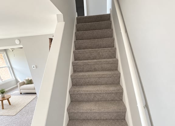 A staircase with a carpeted runner and white risers.