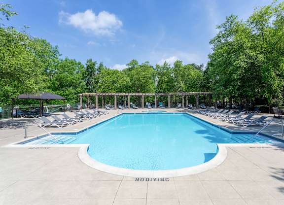 A large swimming pool surrounded by trees and lounge chairs.