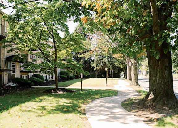 a sidewalk with trees on the side of a street at Krewstown Park Apartments, Pennsylvania