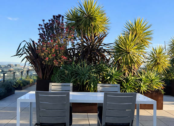 A table with two chairs is set on a patio with a tree in the background.