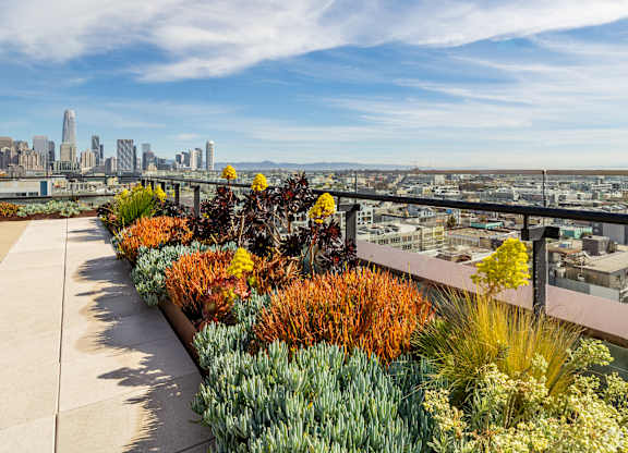 A cityscape is visible in the distance behind a row of colorful plants.