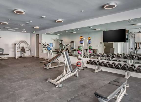 A gym with a variety of equipment including dumbbells, weight plates, and a flat screen TV.