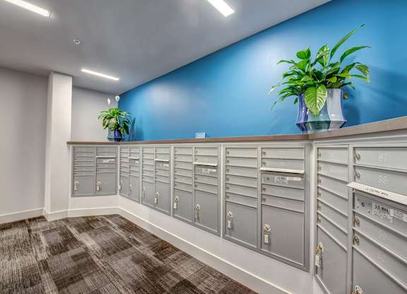 A row of mailboxes are lined up against a blue wall.