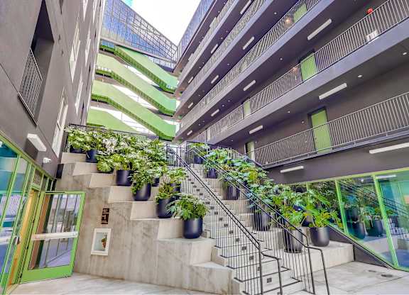 A staircase with plants on the side.