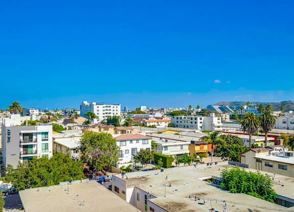 A sunny day in a residential area with a clear blue sky.