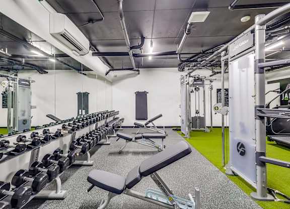 A gym with a row of benches and weights.