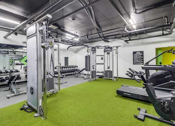 A gym with a green carpet and various exercise machines.