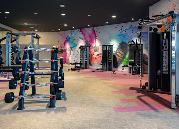 A gym with a variety of equipment including weights and a squat rack.