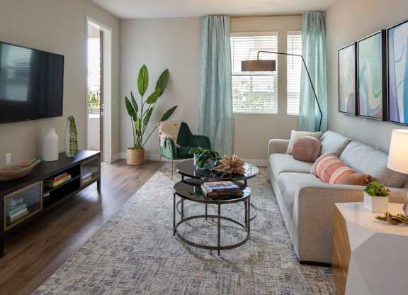 A living room with a grey couch, a coffee table, a TV, and a plant.