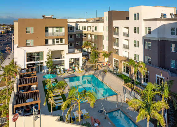 A pool surrounded by palm trees and buildings.