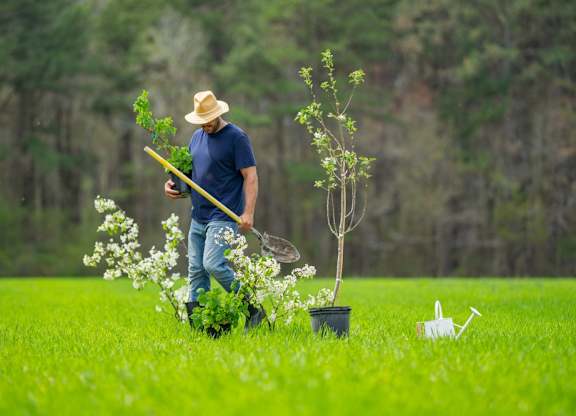 A man in a blue shirt and hat is working in a field with a plant and a watering can.