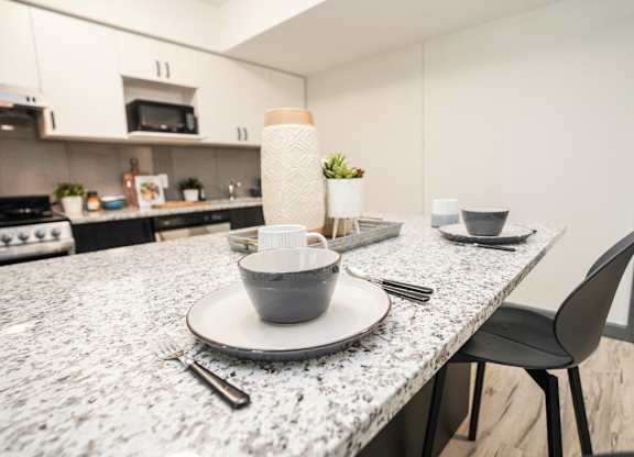 A modern kitchen with a marble countertop and a single plant on it.