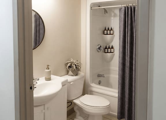 A white toilet sits next to a sink in a bathroom.