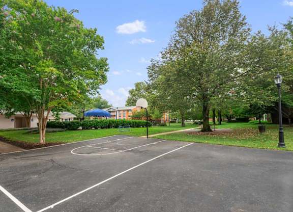 A basketball court surrounded by trees and a street light.