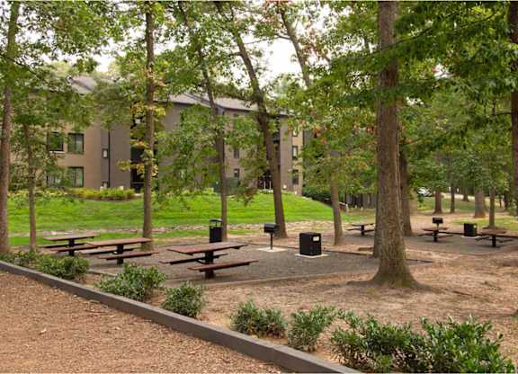 An outdoor space with picnic tables and grills surrounded by trees.