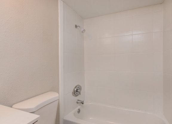 a bathroom with a shower and a toilet and a sink