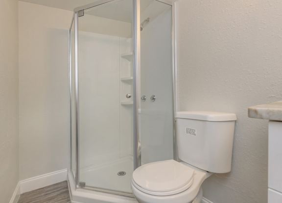 a bathroom with a toilet and a shower
