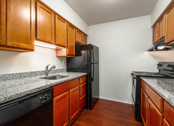 Deluxe Upgraded Kitchen