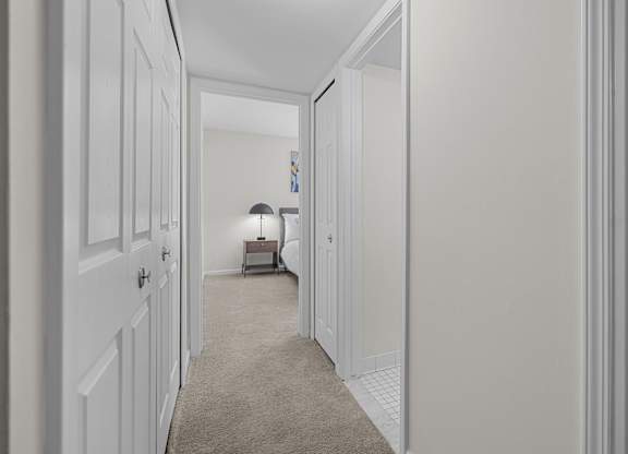Spacious Closets at Lakeside Village Apartments Clinton Township MI