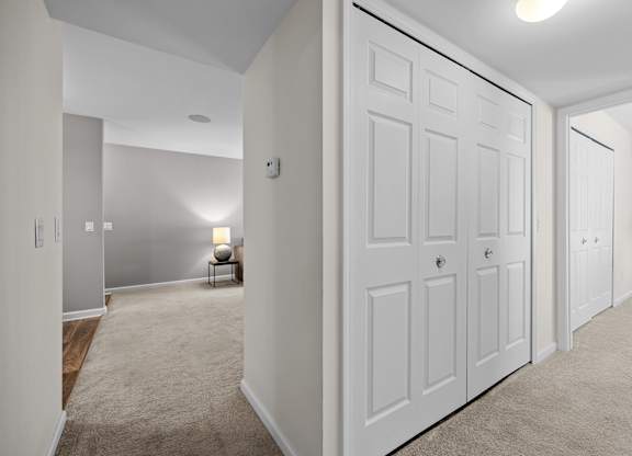 Spacious Closets at Lakeside Village Apartments Clinton Township MI