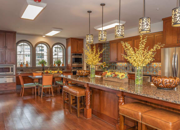 Clubhouse Kitchen at Mariposa at Clear Creek Webster 55+ Apartments, Webster, TX 77598