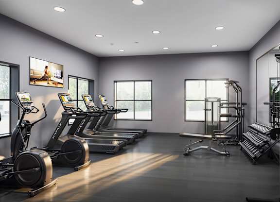 Fitness Center at Cobia Cove Apartments, Holiday, Florida