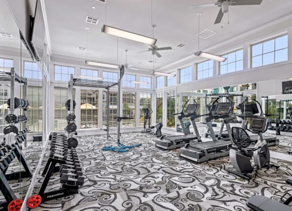 a gym with weights and cardio equipment and windows at Cypress Creek at River Oaks, Texas, 75165