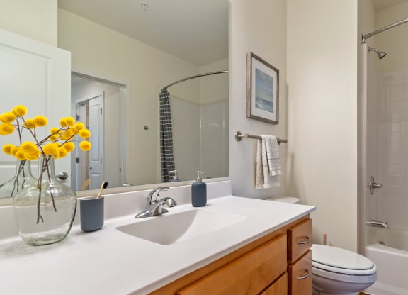 Bathroom With Bathtub at Orville Commons, Woodbury, 55129