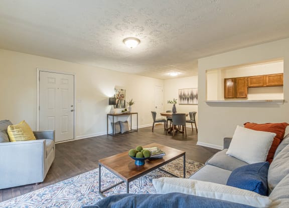 Dominium - Park at Mt Zion - Living Room - 4