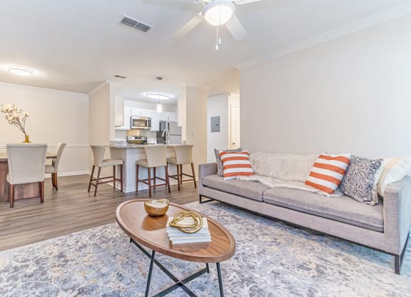 Model Apt Overview at Alexander at Stonecrest Apartments, Lithonia Georgia
