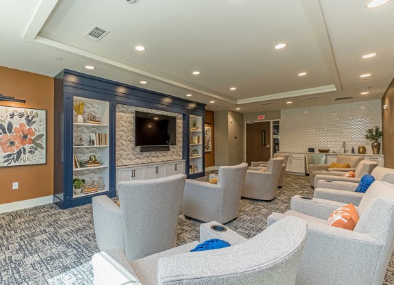 Dominium-Ashlynn Ridge-Theater Room